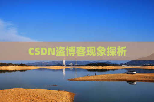 CSDN盗博客现象探析